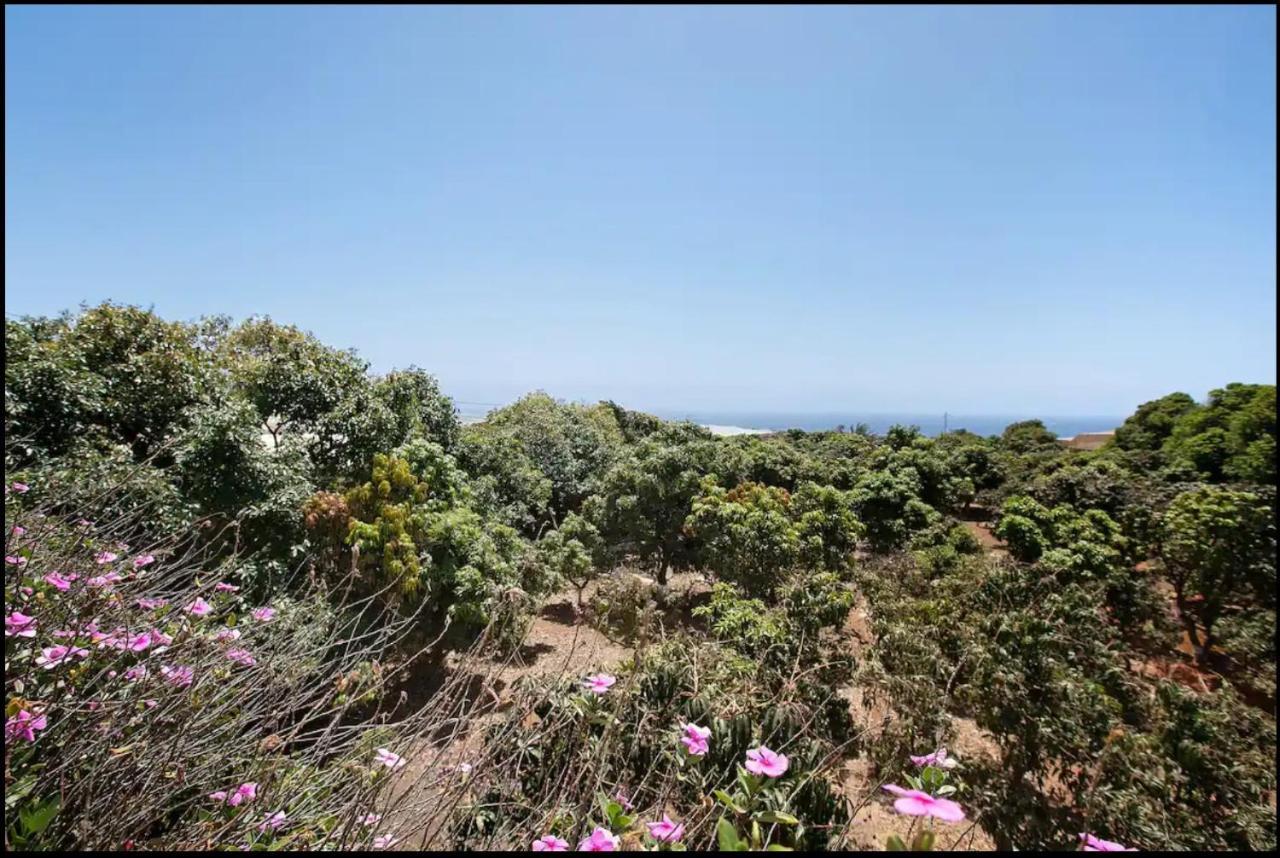 Hacienda La Extremena Daire Güimar Dış mekan fotoğraf